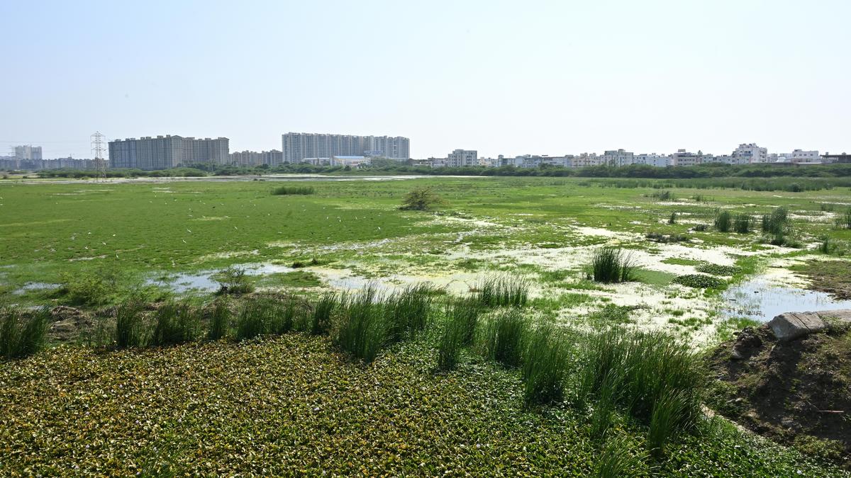 Citizens interests and conservation