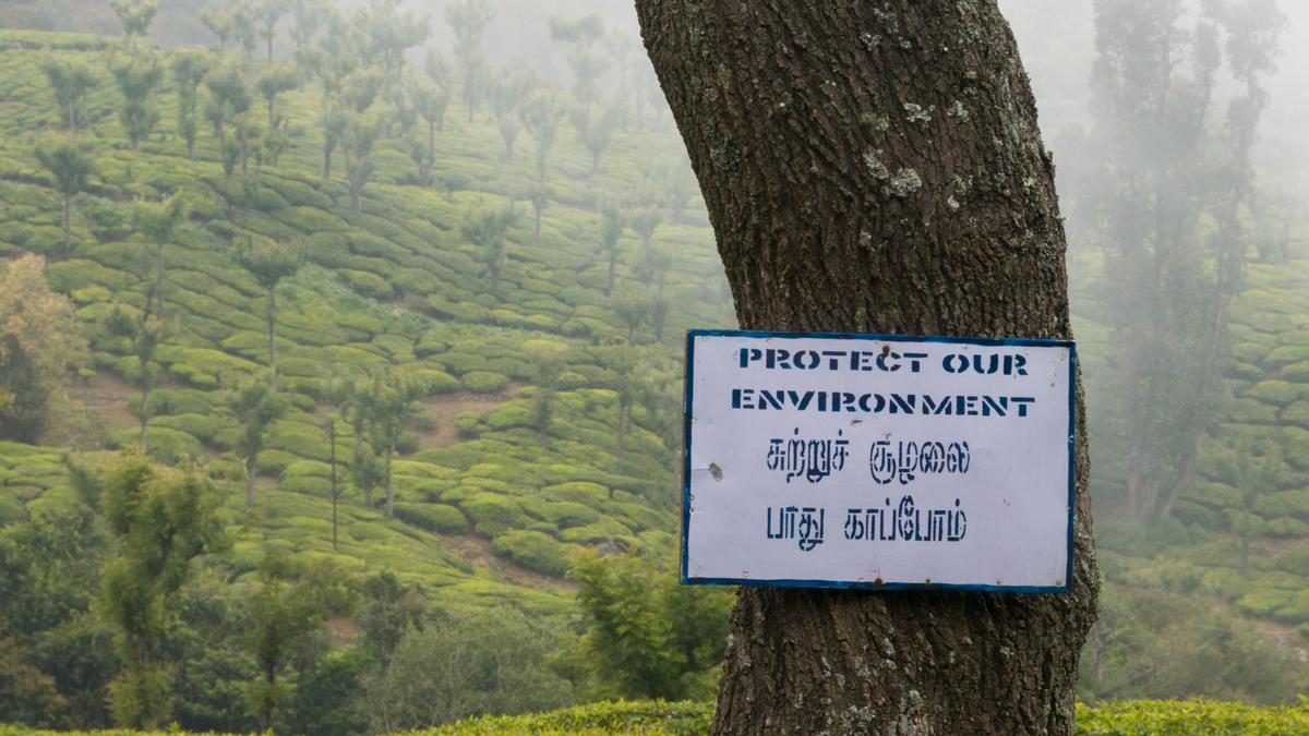 Boosting climate action in Tamil Nadu
