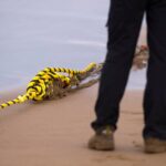 Iranian officials: Tehran has detailed plans to hit Gulf undersea cables if war resumes