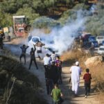 European diplomats attacked amid settler raids on West Bank olive harvest